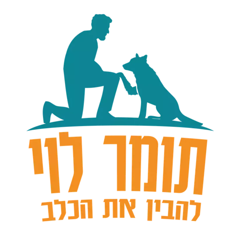 תומר לוי